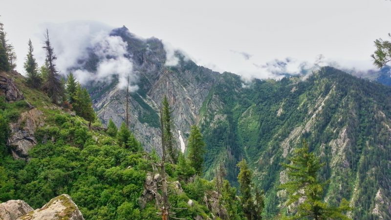 Shimla View