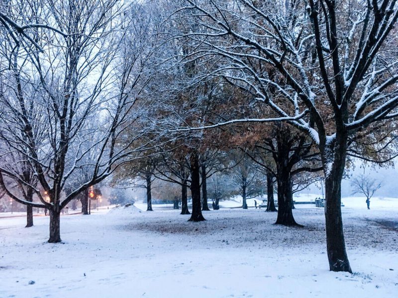 Snow covered Georgia
