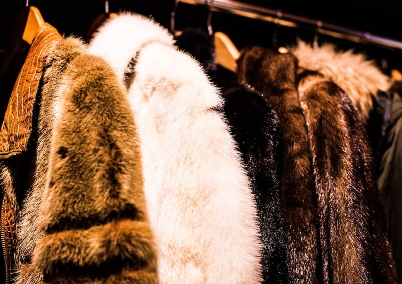 fur coats in a store